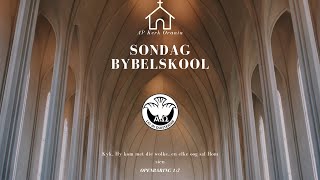 Bybelskool  Openbaring 14120 [upl. by Nnaeilsel]