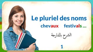 Le pluriel des noms et des adjectifs cours complet [upl. by Aylward]