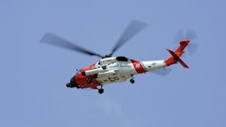 Royal Caribbeans SHOCKING Coast Guard Rescue Struggle [upl. by Tnerb]