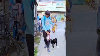 ছাগলকে নিয়ে সারাদিন ঘুরলাম বালুরঘাটে 🐐 minivlog vlog [upl. by Mixie]