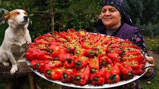 From Garden to Plate  Traditional Stuffed Bell Peppers [upl. by Nosittam]