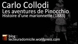 Les aventures de Pinocchio  Carlo Collodi  34 [upl. by Eppesiug]