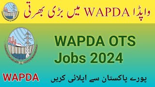 WAPDA Jobs 2024 WAPDA OTS Jobs Online Apply 2024 [upl. by Baruch800]