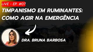 Live EP 07  Timpanismo em Ruminantes Como Agir na Emergência  05112024 [upl. by Lou240]