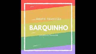 Grupo Tradição Barquinho KaraokêPlayback [upl. by Meensat]