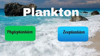 Difference between Zooplankton and Phytoplankton [upl. by Lasiaf]