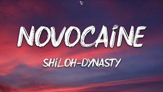 Shiloh Dynasty  Novocaine Lyrics [upl. by Nueormahc]