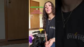 Dog Desensitization vs Counterconditioning puppytraining puppyshorts [upl. by Mina]