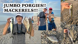 JUMBO Porgies and Mackerel on North Shore HOT PORGY ACTION MEMORIAL DAY WEEKEND ftnycangler [upl. by Eyllib]