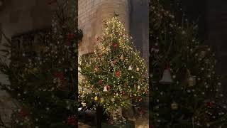 Tewkesbury abbey christmas tree christmastreeabbey [upl. by Wistrup]