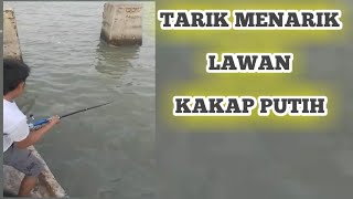 Mancing Kakap Putih mancing mancingikan [upl. by Zerep]