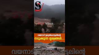 ദുര ന്ത മുഖത്തെ ഞെട്ടിക്കുന്ന ദൃശ്യം  wayanad land slide  chooral mala  heavy rain [upl. by Preuss]