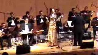 Om Kalthoum Orchestra  NYC [upl. by Asalocin627]