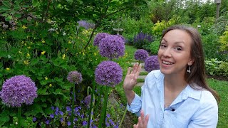 How to Plant Allium Bulbs  Best Allium Varieties for Your Garden  Northlawn Flower Farm [upl. by Gerstein141]