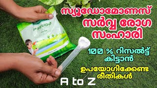 സുഡോമോണസ് സർവ രോഗ സംഹാരി  100 റിസൾട്ട് കിട്ടാൻ ഉപയോഗിക്കേണ്ട രീതികൾ  Pseudomonas use A to Z [upl. by Nnylatsyrc192]