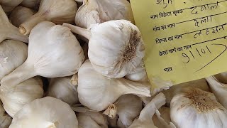 लहसुन भाव आज का  garlic bhav today  सभी फसलों के भाव आज के  nimbaheramandibhav [upl. by Kcirdes]