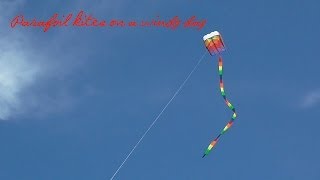 Parafoil kites on a windy day [upl. by Leinahtan]