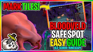 OSRS  How To Safe Spot Bloodvelds In The Catacombs Of Kourend   EVERYTHING YOU NEED TO KNOW [upl. by Judi]