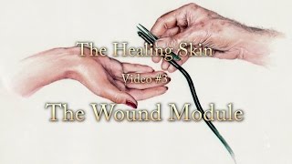 The Healing Skin  Part 3 advanced processes in skin healing [upl. by Hanan796]