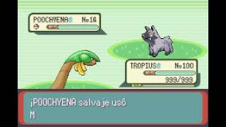 POKEMON EMERALD  TROPIUS  BARRERA  BARRIER [upl. by Tomasz149]