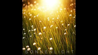 🌞 Sonnenlicht  Ein Song über Hoffnung und den Weg ins Licht 🌞 [upl. by Nanaek]