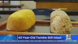 43YearOld Twinkie Still Intact [upl. by Schoof18]