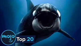 Top 20 Documentary Films of the Century So Far [upl. by Acirehs]