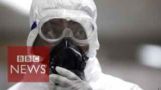 Is Ebola virus a global emergency BBC News [upl. by Galateah]