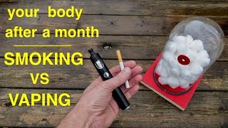 How Smoking vs Vaping Affects Your Lungs ● You Must See This [upl. by Atikram]