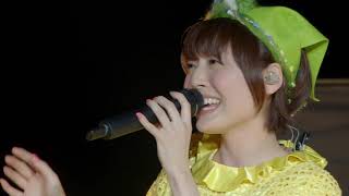 Kana Hanazawa live in Budokan [upl. by Eslehc416]