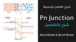 Pn Junction  Full Explanation [upl. by Etsirhc399]