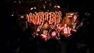 Cannibal Corpse  HAMMER SMASHED FACE 1994 [upl. by Clarhe]