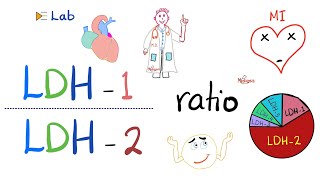 LDH1 to LDH2 Ratio and the flipped LDH  Lactate Dehydrogenase and Heart Attacks ❤️‍🩹 [upl. by Hasina]