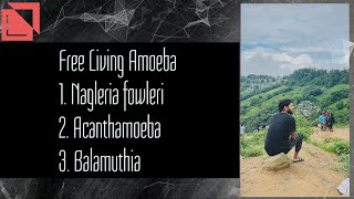 PARASITOLOGY  Free living Ameoba Nagleria fowleri  Acanthameoba amp Balamuthia [upl. by Jaquith]