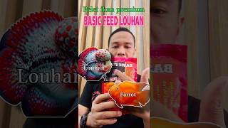 Premium  PELET LOUHAN DAN RED PARROT [upl. by Merralee98]