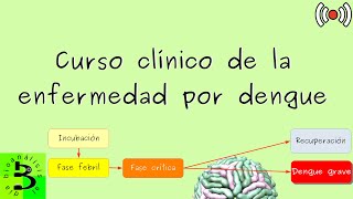 🦟Curso clínico de la enfermedad por dengue [upl. by Lirbaj]