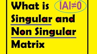 Singular and NonSingular Matrices matrices class 12 [upl. by Bender]