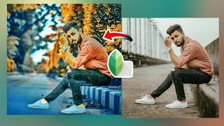 Snapseed photo Background Change editing  Snapseed new trick photo editing  video views [upl. by Jd]