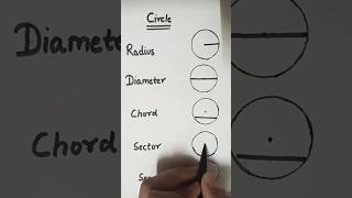 CircleParts of circleRadiusDiameterChordsectorSegmentshorts maths trendingshorts viral [upl. by Ahsienyt]