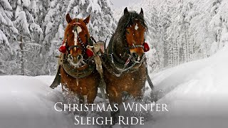 Celtic Christmas Carols Soft Holiday Christmas Music quotSnowy Winter Sleigh Ridequot by Tim Janis [upl. by Ardnala]