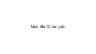 How to Pronounce quotMedulla Oblongataquot [upl. by Oicaro]