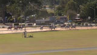 Gympie 20240720 Race 1 [upl. by Haerdna]