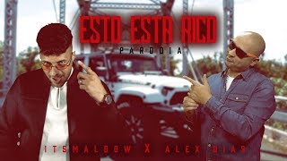 Marc Anthony Will Smith Bad Bunny  Está Rico Official Video PARODIA  itsMaldow [upl. by Arlie]