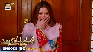 NewTeray Janay Kay Baad Episode 66  Promo  ARY Digital Drama [upl. by Ramhaj128]