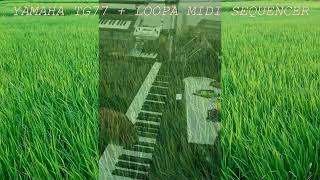 TG77 Ambient Soundscape  Green World [upl. by Morez74]