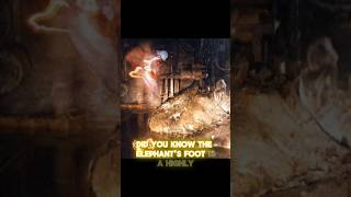 The Radioactive Elephant’s Foot elephantfoot chernobyl science nuclear disaster facts atom [upl. by Johnette841]