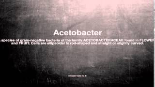 Medical vocabulary What does Acetobacter mean [upl. by Lucila]