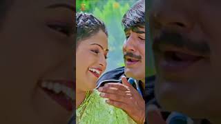 Premante Nedu Thelisinadi Short Video Song  Preyasi Raave  Srikanth Raasi  shorts tyshorts [upl. by Grier]