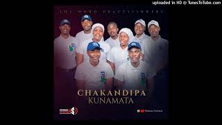 The Word Practitioners  Chakandipa Kunamata Official Audio [upl. by Paige230]