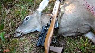 Whitetail deer hunting with an SKS  762x39 [upl. by Marston]